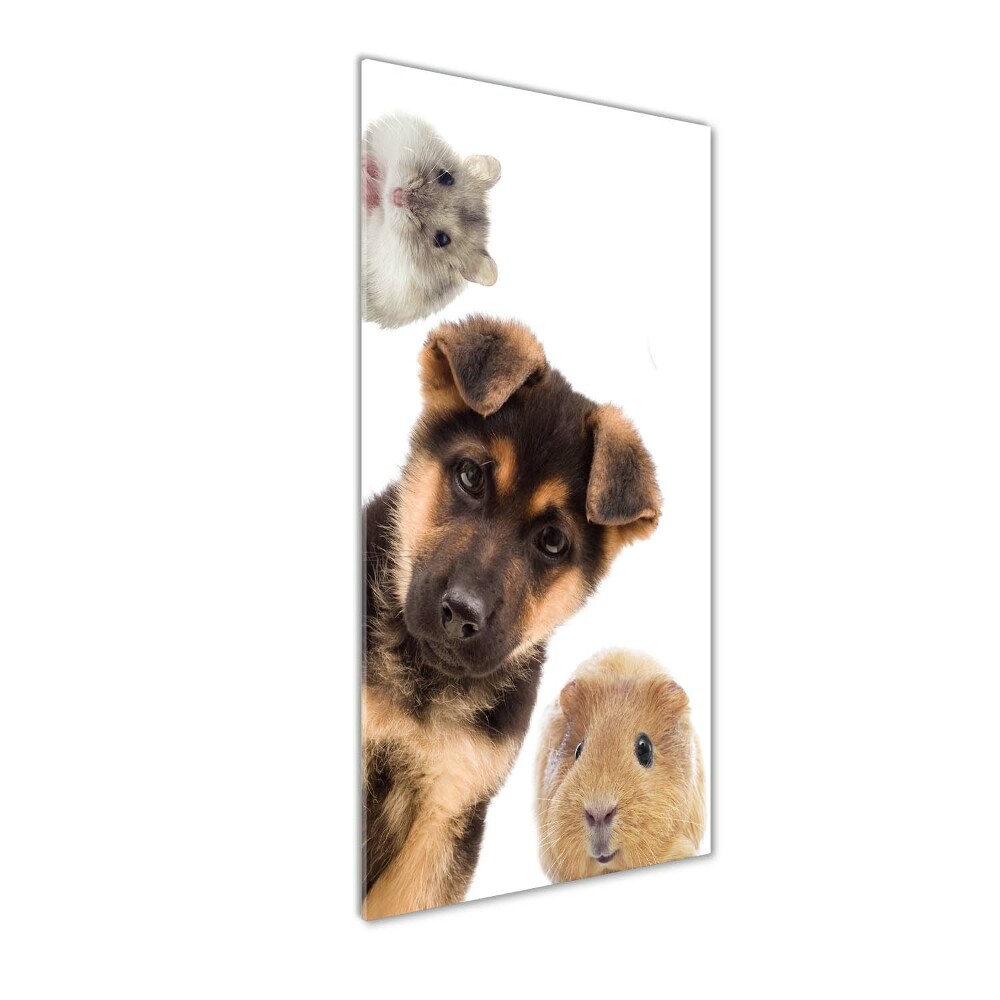 Wall art on glass Pets