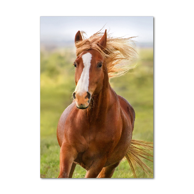 Print on a a glass Horse at a gallop