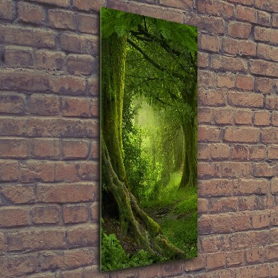 Photo printed on glass Tropical jungle