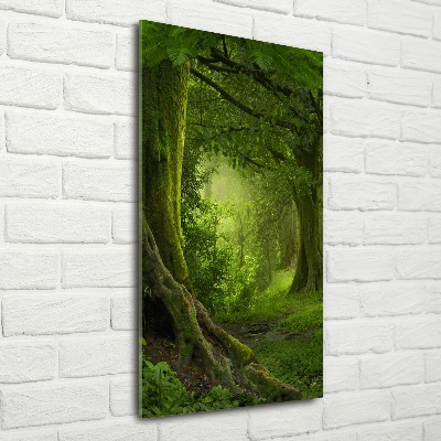 Photo printed on glass Tropical jungle