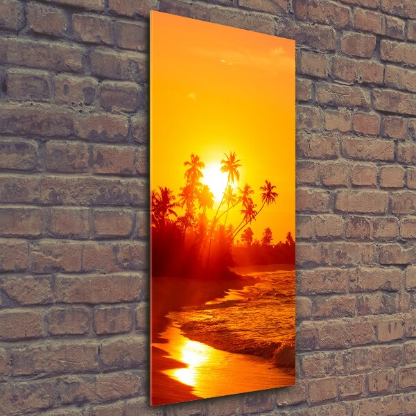 Photo printed on glass Tropical beach