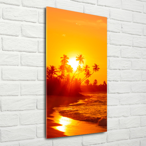 Photo printed on glass Tropical beach