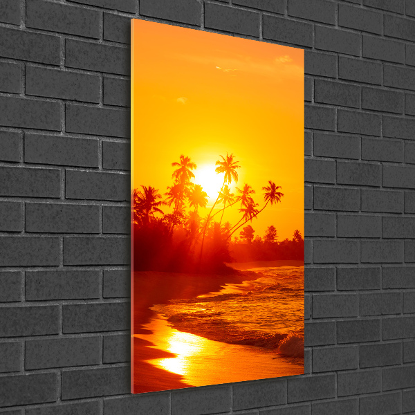 Photo printed on glass Tropical beach