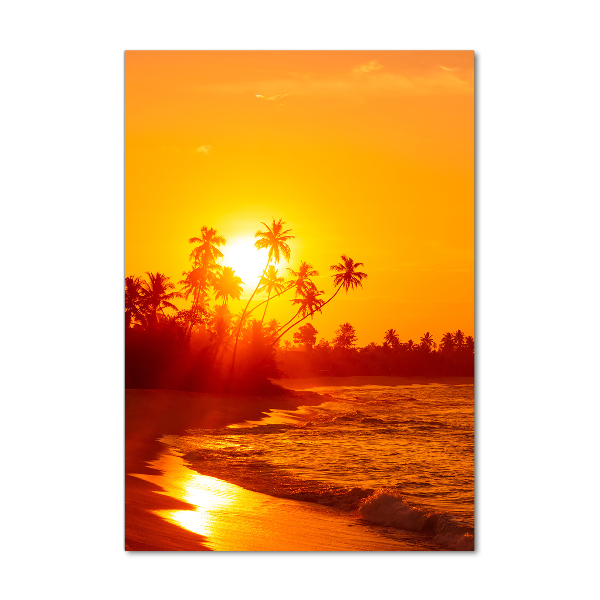 Photo printed on glass Tropical beach