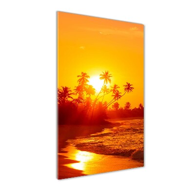 Photo printed on glass Tropical beach