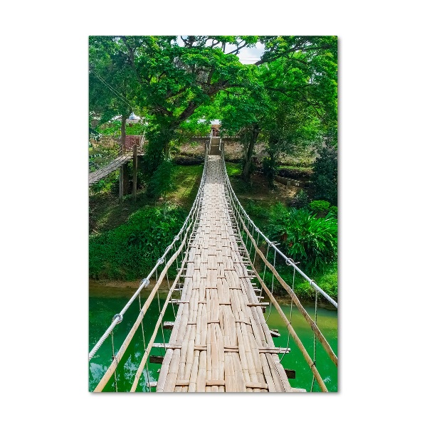 Photo printed on glass Hanging bridge