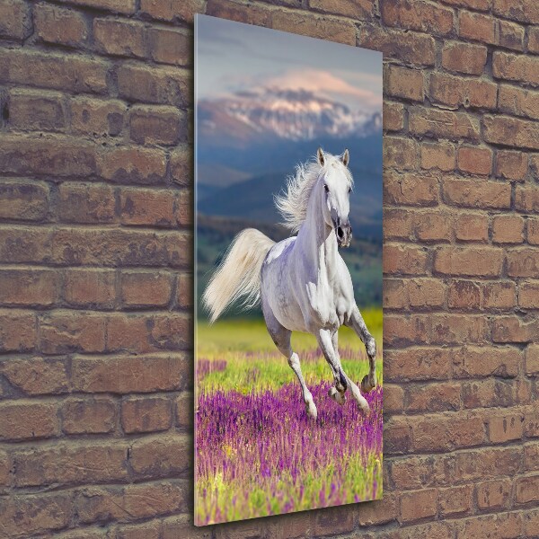 Glass wall art White horse at a gallop