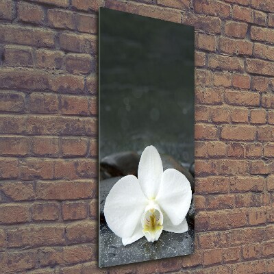 Printed glass wall art Orchid stones