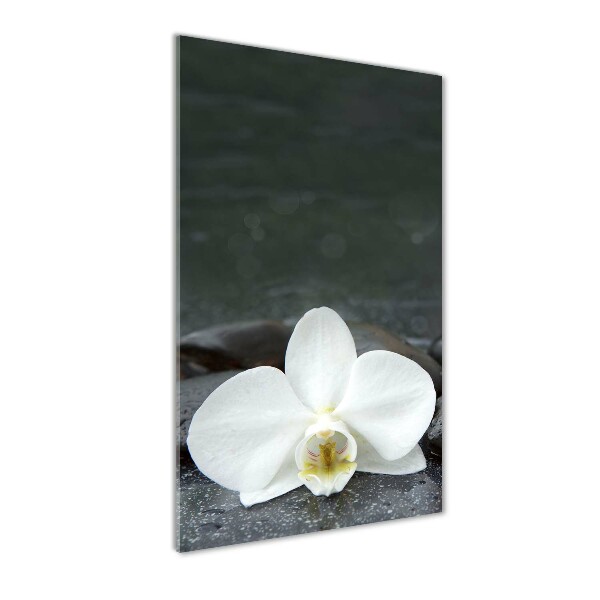 Printed glass wall art Orchid stones