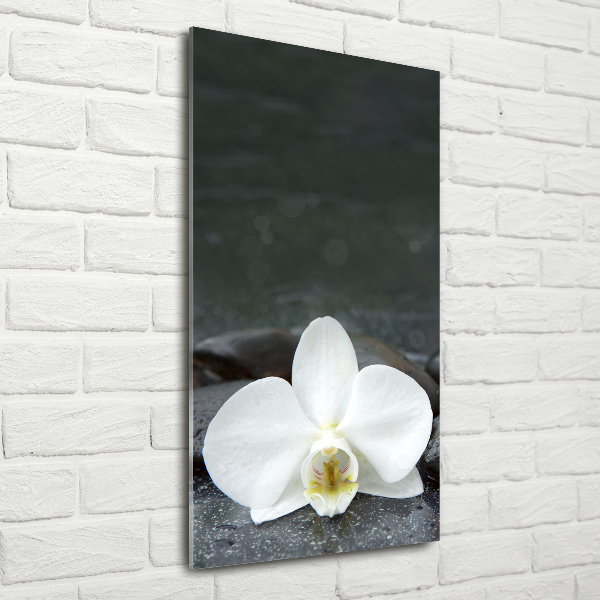 Printed glass wall art Orchid stones