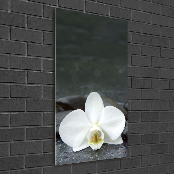 Printed glass wall art Orchid stones