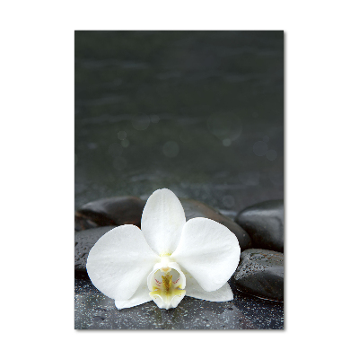 Printed glass wall art Orchid stones