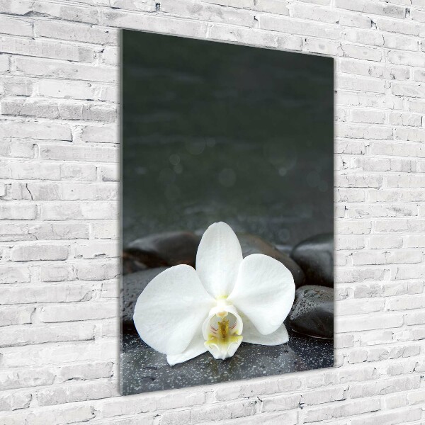 Printed glass wall art Orchid stones