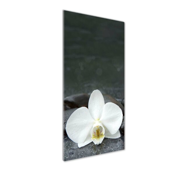 Printed glass wall art Orchid stones