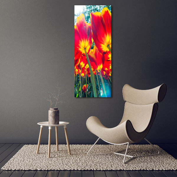 Printed glass wall art Red tulips