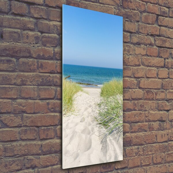 Glass picture wall art Coastal dunes