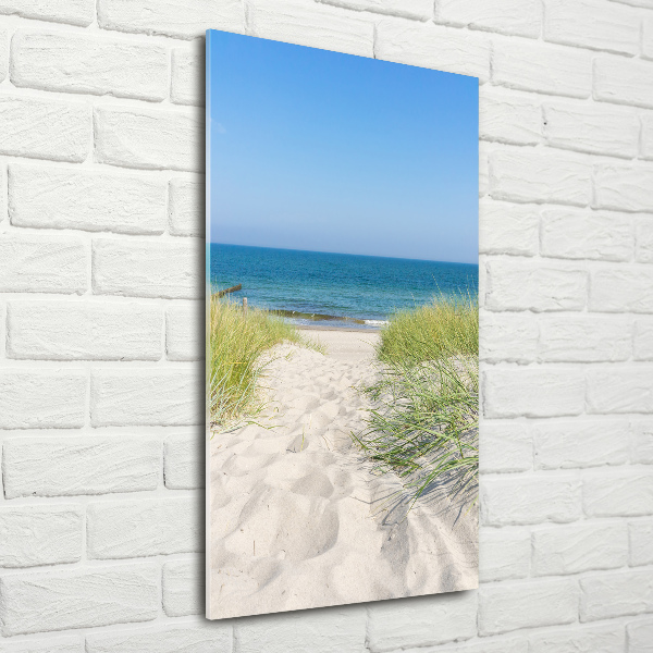 Glass picture wall art Coastal dunes