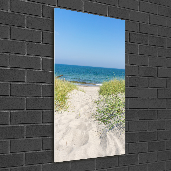 Glass picture wall art Coastal dunes