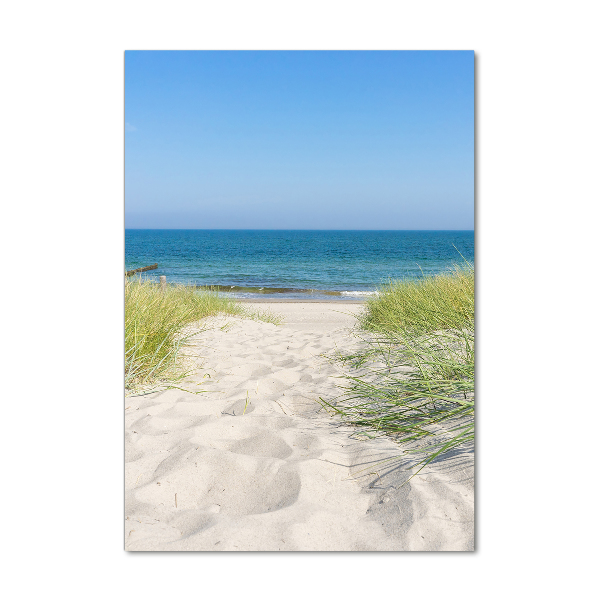 Glass picture wall art Coastal dunes