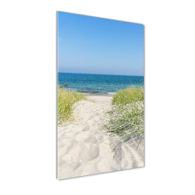 Glass picture wall art Coastal dunes