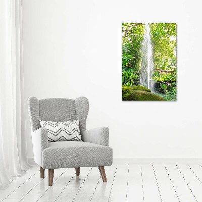 Glass picture wall art Waterfall in the jungle