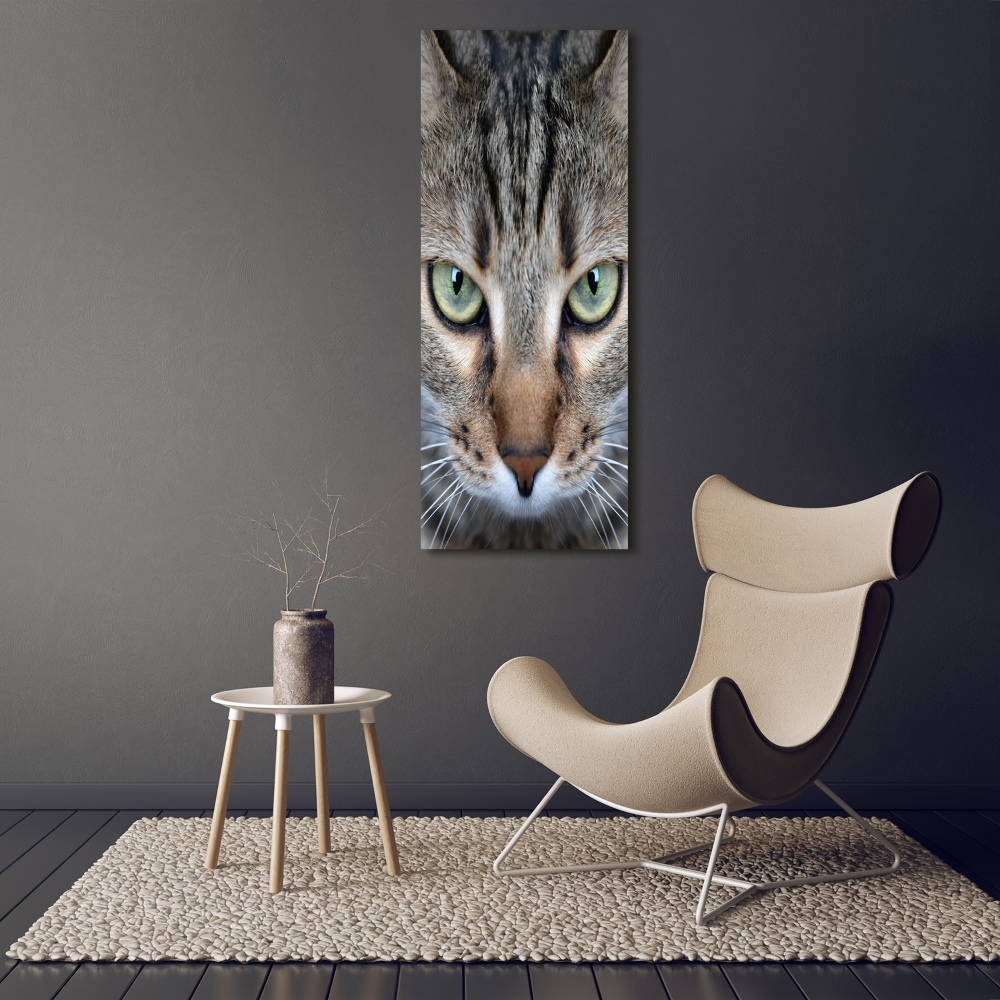 Wall art on glass Cat's eyes