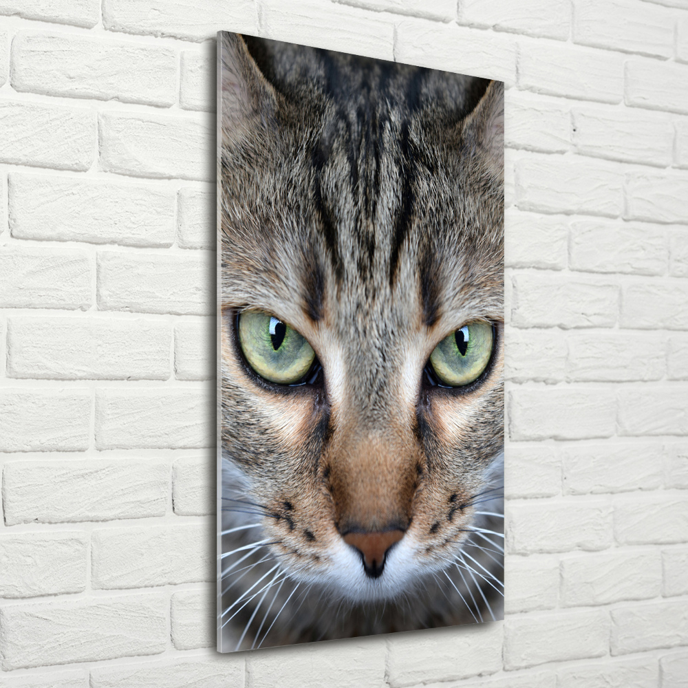 Wall art on glass Cat's eyes