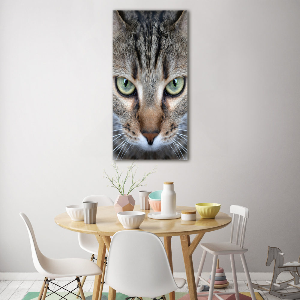 Wall art on glass Cat's eyes