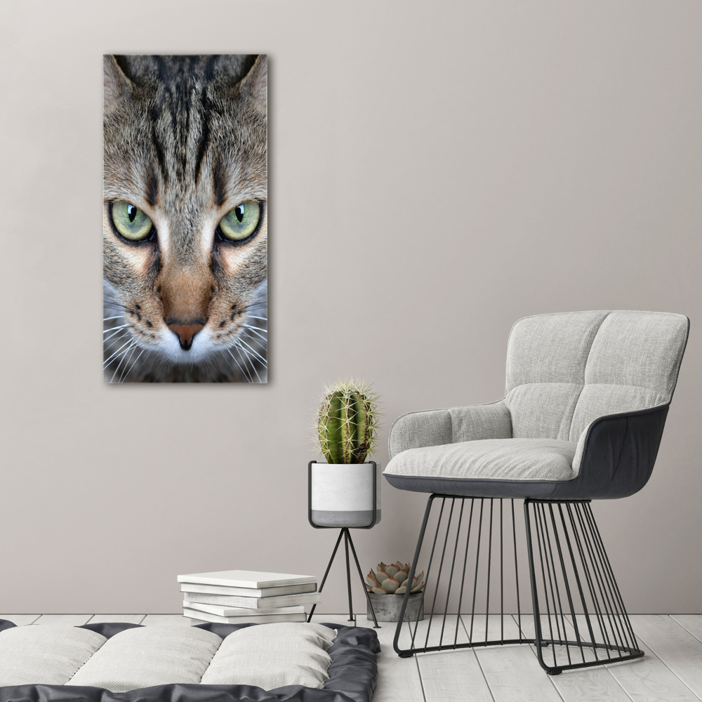 Wall art on glass Cat's eyes