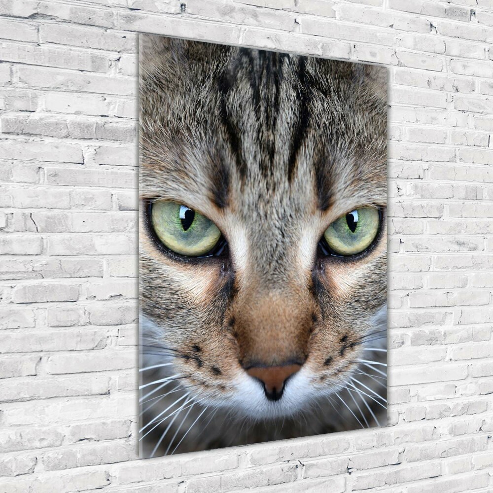 Wall art on glass Cat's eyes