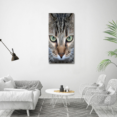 Wall art on glass Cat's eyes