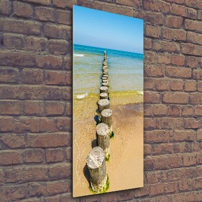 Printed glass wall art Breakwater