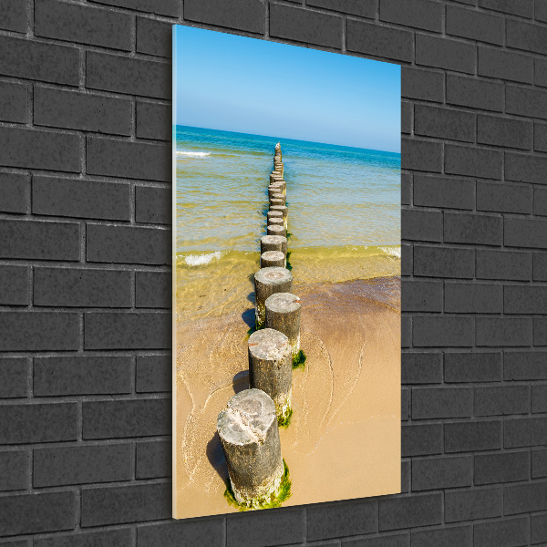 Printed glass wall art Breakwater