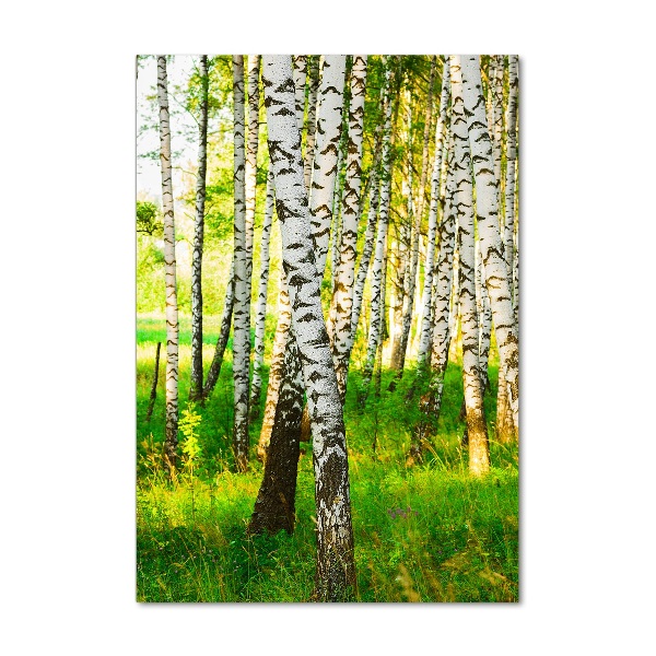 Wall art on glass Birch forest