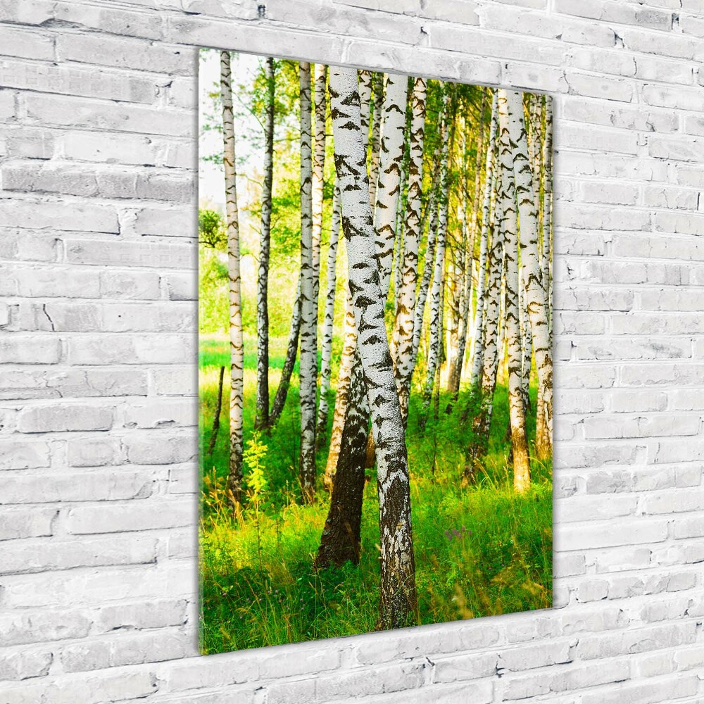 Wall art on glass Birch forest