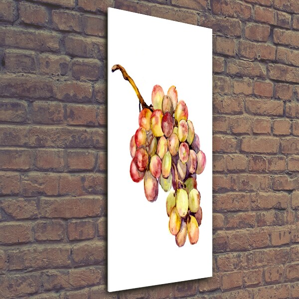 Photo printed on glass Grapes