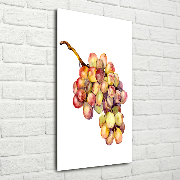 Photo printed on glass Grapes