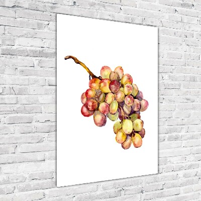 Photo printed on glass Grapes