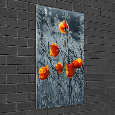 Wall art on glass Field poppies