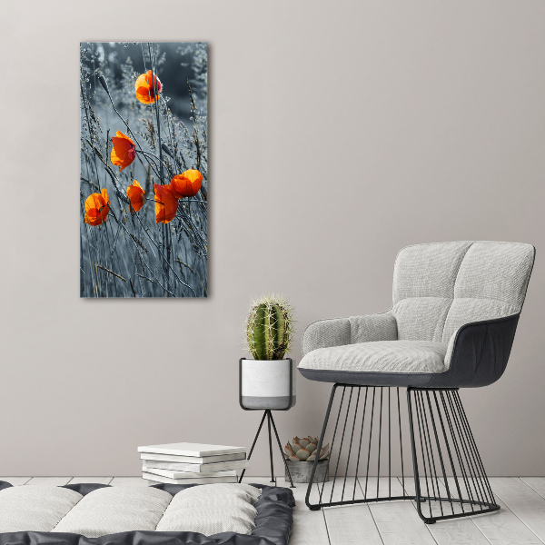 Wall art on glass Field poppies