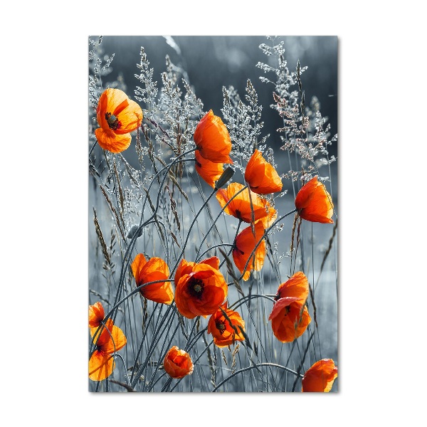 Wall art on glass Field poppies