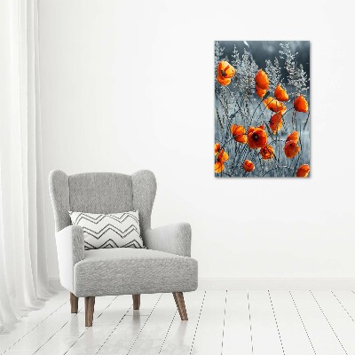 Wall art on glass Field poppies