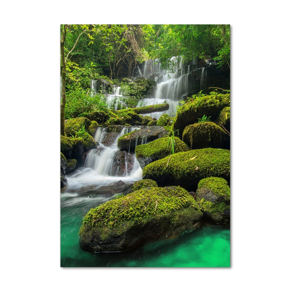 Wall art on glass Waterfall in the jungle