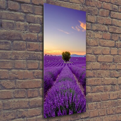 Wall art on glass Lavender field