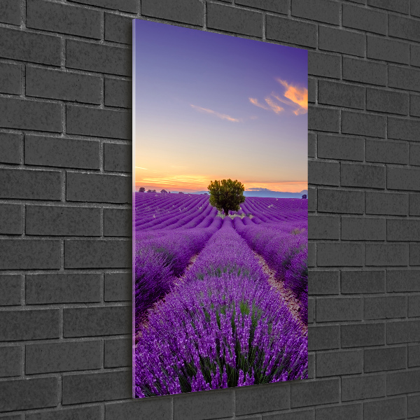 Wall art on glass Lavender field