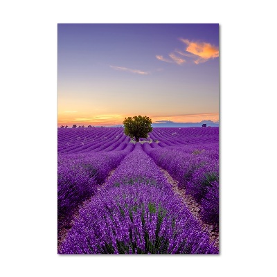 Wall art on glass Lavender field