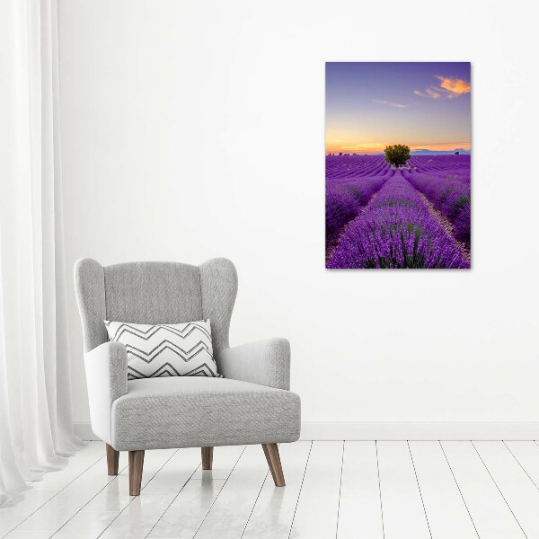 Wall art on glass Lavender field