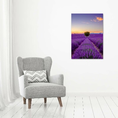 Wall art on glass Lavender field