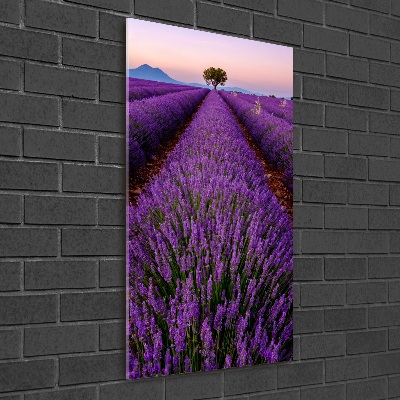 Print on a a glass Lavender field