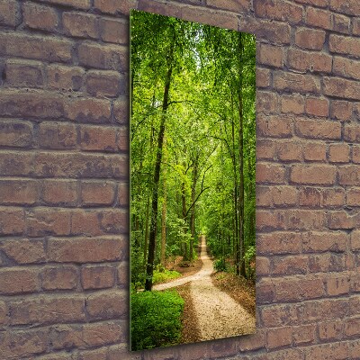 Wall art on glass Path in the forest